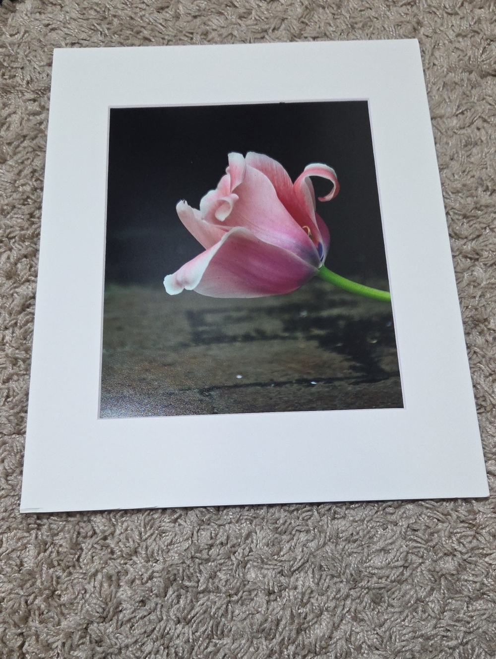 Pink Tulip Floral Art Matte Print